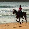 Ruta Endurance de Medio Día. Galope en la playa de Montalvo. Vacaciones a caballo.