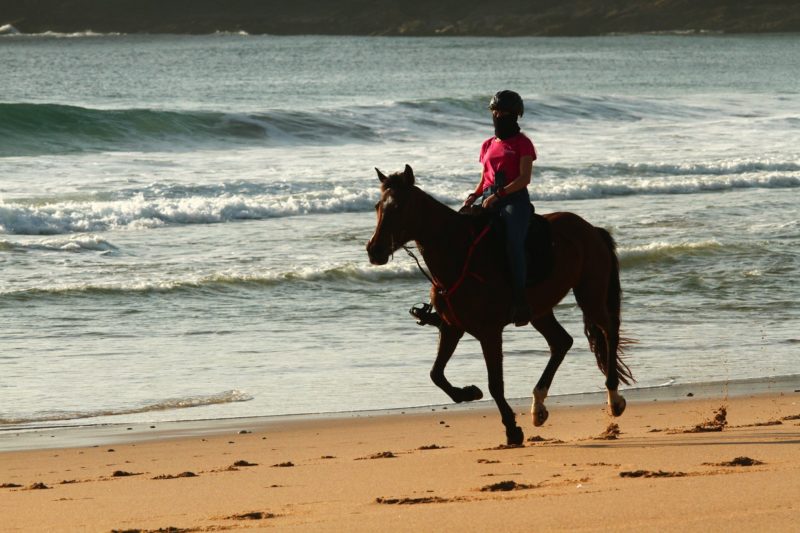 Ruta Endurance de Medio Día. Galope en la playa de Montalvo. Vacaciones a caballo.