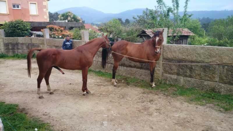 Padres de Deojananá