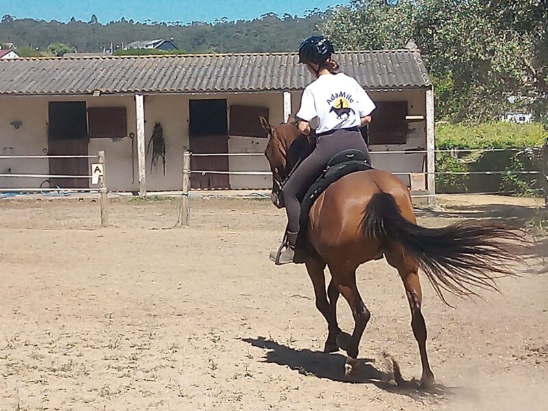 Clases en casa