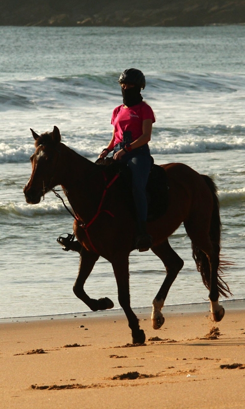 Vacaciones a caballo