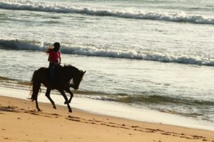 Vuelta a los entrenamientos. En la primera fase de desescalada podremos volver a montar a caballo y disfrutar del galope por la playa