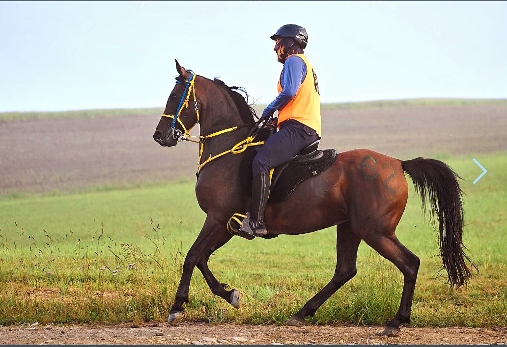 Alquiler para 120km