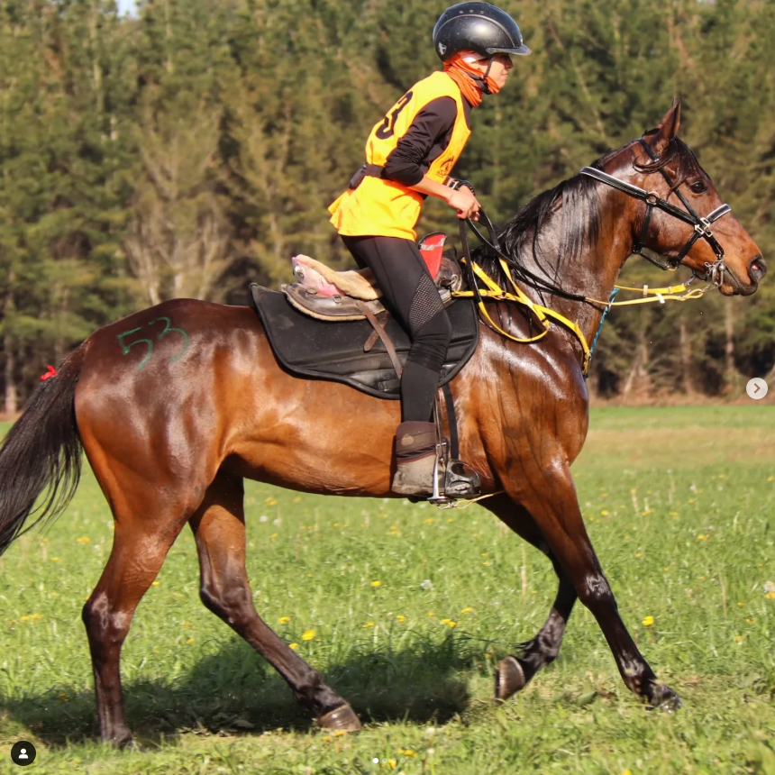 Alquiler para Campeonato del mundo de caballos jóvenes 2025